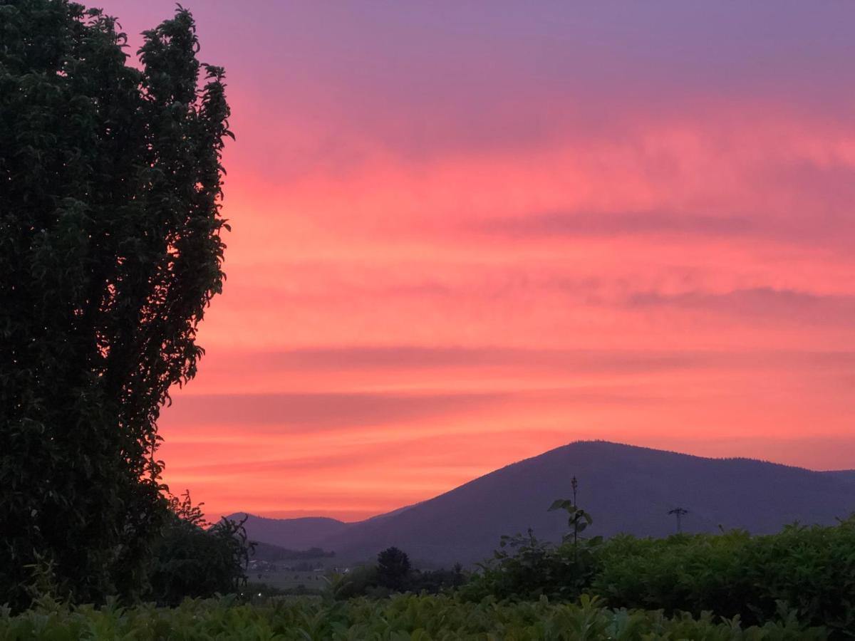 Ferienwohnung Suedpfalz Mit Fernblick Bochingen Dış mekan fotoğraf
