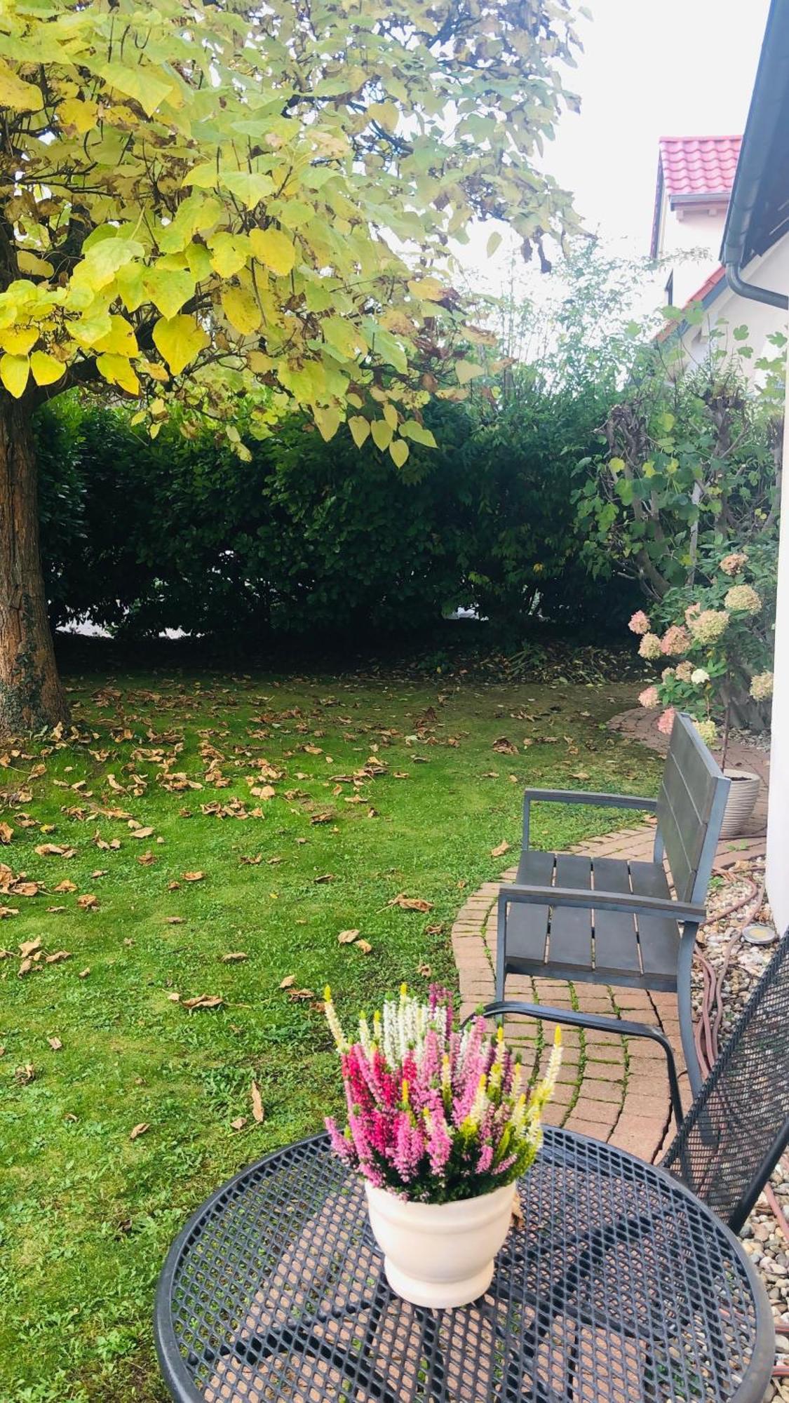 Ferienwohnung Suedpfalz Mit Fernblick Bochingen Dış mekan fotoğraf